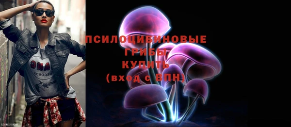 гашик Красноперекопск
