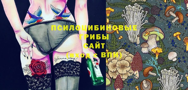бошки Краснослободск