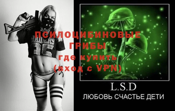 хмурый Нягань