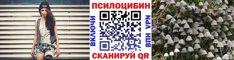 Галлюциногенные грибы GOLDEN TEACHER  где купить   блэк спрут рабочий сайт  Ильский 